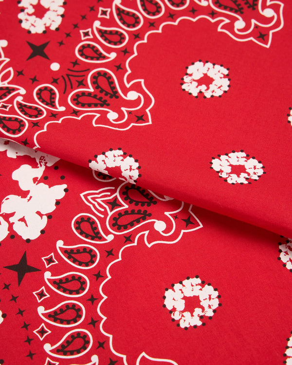 Denim Tears - Men's Cotton Wreath Paisley Bandana - (Red)