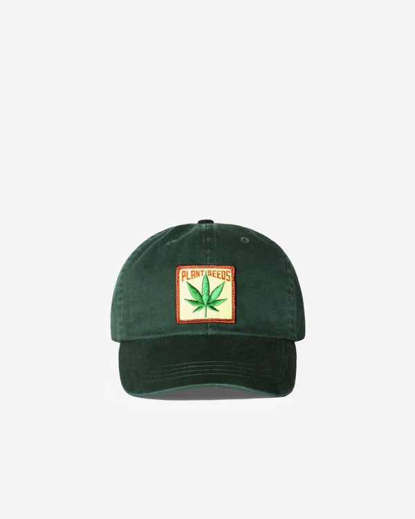 IDEA - Plant Seeds Hat - (Green)